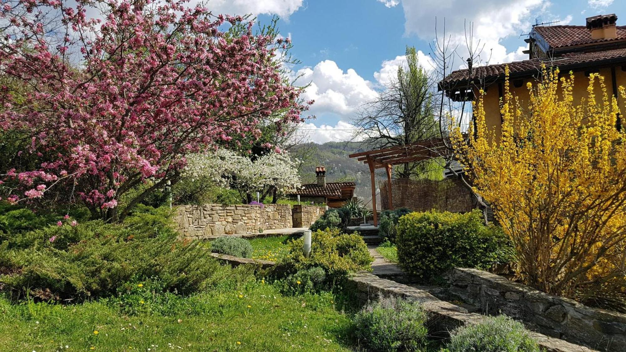 Agriturismo Fattoria Ca Di Sole San Benedetto Val di Sambro Eksteriør billede